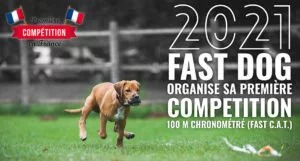 Fast DOG - Compétition 2021